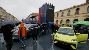 EV sales rebound in Germany as Chinese brands make inroads