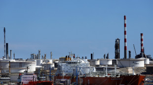 Il petrolio chiude in rialzo a New York a 101,27 dollari