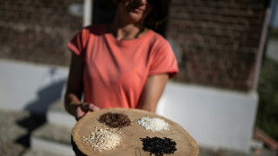 Una cultivadora de arroz italiana apuesta por la biodiversidad para combatir el calor