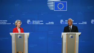 Varios l&iacute;deres europeos quieren una aplicaci&oacute;n r&aacute;pida del acuerdo con Mercosur, dice Von der Leyen