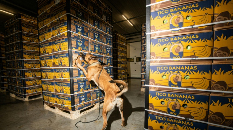 La Uni&oacute;n Europea lanza una "alianza de puertos" contra el narcotr&aacute;fico