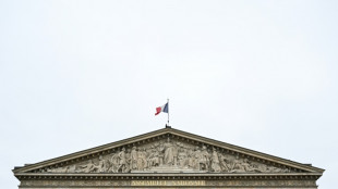 Les députés entament à bonne allure l'examen du budget, face à des délais contraints