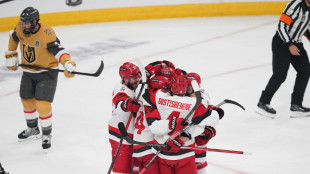 NHL: Hurricanes gleichen Finalserie erneut aus