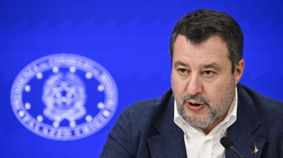 Salvini, io non pagherei per avere la targa personalizzata