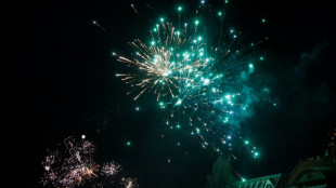Gewerkschaft der Polizei fordert harte Strafen nach &Uuml;bergriffen an Silvester