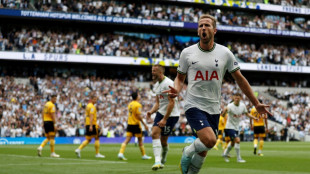 Angleterre: Tottenham r&eacute;aliste, Leicester s'enfonce