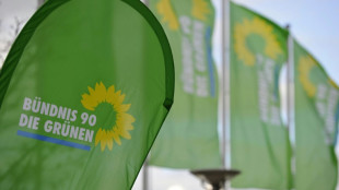 Kritiker von Gr&uuml;nen-Parteireform klagen gegen geplante Urabstimmung