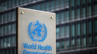 Virus Nipah: risque de propagation faible au niveau mondial, selon l&rsquo;OMS