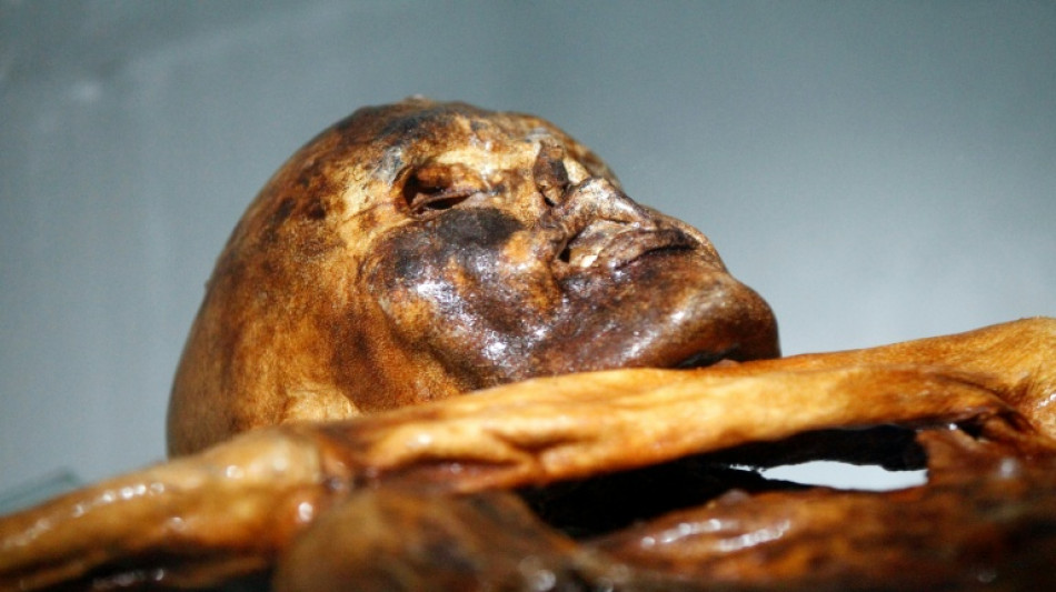 Cientistas fazem p&atilde;o com levedura encontrada nas entranhas de uma m&uacute;mia