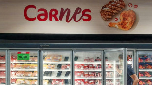 Uni&atilde;o Europeia suspende importa&ccedil;&otilde;es de carne brasileira a partir de 5&ordf; feira