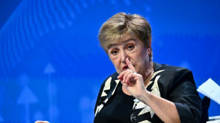 Budget de la France: "il faudra du temps" pour restaurer la confiance, avertit le FMI