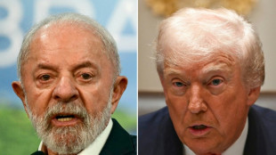 Lula heads to Washington to meet Trump in fraught election year
