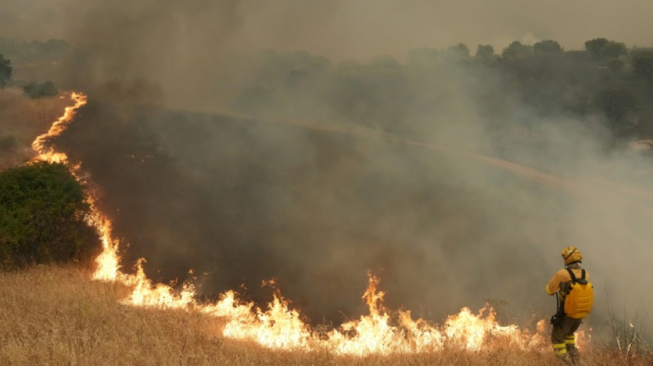 Mais de 175.000 deslocados por inc&ecirc;ndios que assolam Espanha e Fran&ccedil;a
