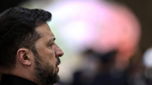 Zelensky, 'per tenere le elezioni ora deve esserci un cessate il fuoco'