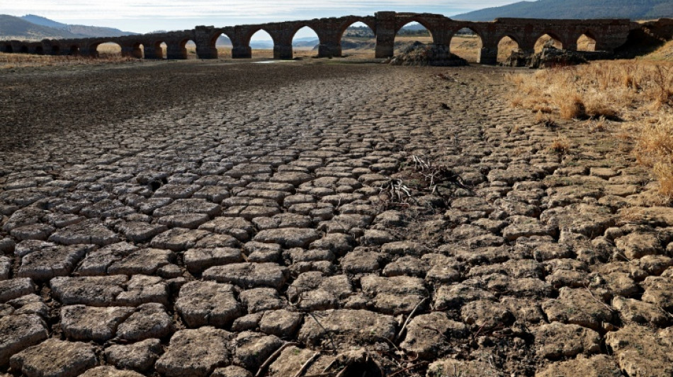 Un informe cient&iacute;fico prev&eacute; que Espa&ntilde;a sufra sequ&iacute;as m&aacute;s frecuentes y duras