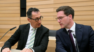Parteitage von Gr&uuml;nen und CDU in Baden-W&uuml;rttemberg billigen Koalitionsvertrag