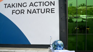 UN nature summit in extra time as nations grapple for deal
