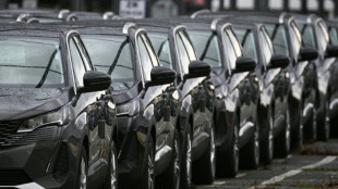 March&eacute; automobile fran&ccedil;ais toujours en berne, ventes d'&eacute;lectriques "sous perfusion"