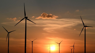 Studie: Jeder dritte ausgeschriebene Job hat mit "Green Economy" zu tun