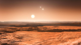 La vita possibile anche sui pianeti senza acqua