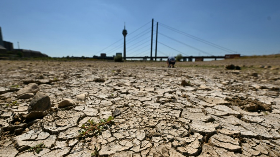 RKI: Bereits fast 10.000 Hitzetote in diesem Sommer