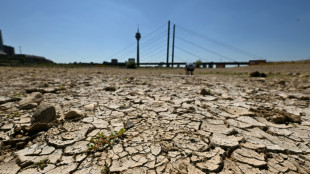 RKI: Bereits fast 10.000 Hitzetote in diesem Sommer