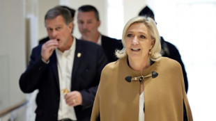 La l&iacute;der ultraderechista francesa niega un "sistema" de malversaci&oacute;n de fondos europeos