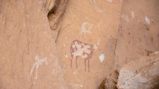 Au Tchad, sur les traces du "Sahara vert" de l'Ennedi