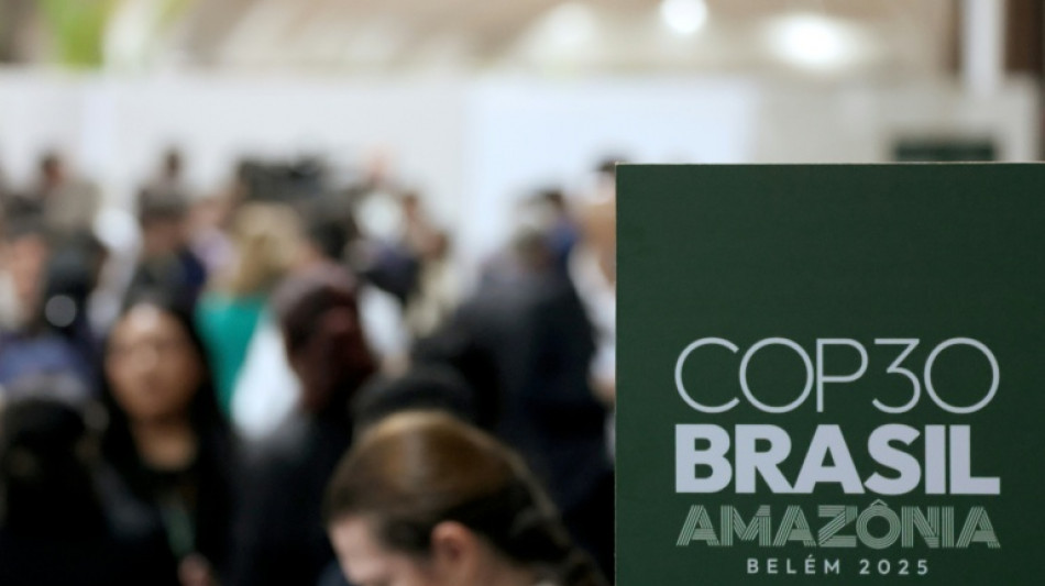 Erster Beschlussentwurf in Bel&eacute;m l&auml;sst noch viel offen - Lula will sich einschalten