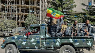 L'&Eacute;rythr&eacute;e demande au Conseil de s&eacute;curit&eacute; de l'ONU de condamner la "d&eacute;claration de guerre" &eacute;thiopienne