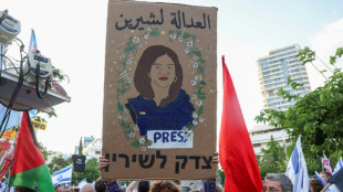 El CPJ exige avances en la investigaci&oacute;n de EEUU sobre la periodista Shireen Abu Akleh, abatida en Cisjordania