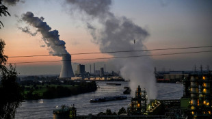 Geld pro eingesparter Tonne CO2: Reiche f&uuml;hrt F&ouml;rderprogramm f&uuml;r Industrie fort