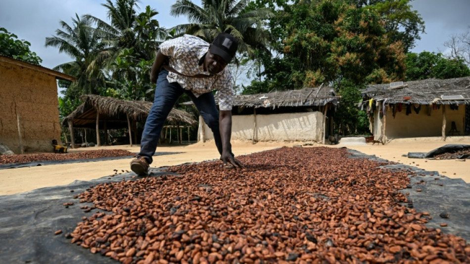 C&ocirc;te d'Ivoire: chez les planteurs de cacao, la "mal&eacute;diction de l'or brun" 
