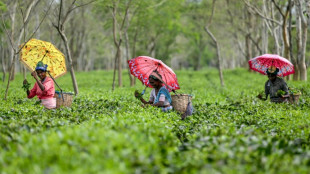Erdrutsche und &Uuml;berschwemmungen zerst&ouml;ren Darjeeling-Teeplantagen in Indien
