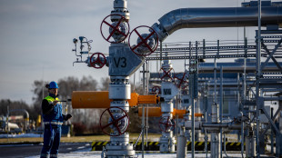 Il gas chiude in rialzo a 30,25 euro sulla piazza Ttf di Amsterdam