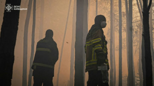 Gro&szlig;er Waldbrand in Tschernobyl-Sperrzone nach Absturz von zwei Drohnen