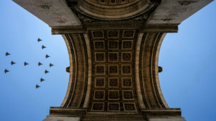 Un d&eacute;fil&eacute; "massif" et europ&eacute;en pour le dernier 14-Juillet d'Emmanuel Macron