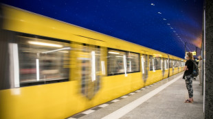 17-J&auml;hriger nach Stromschlag in Gleisbett von Berliner U-Bahn gestorben