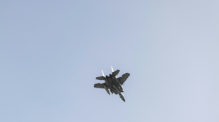 Medienberichte: Ein Besatzungsmitglied nach Abschuss von US-Kampfjet &uuml;ber dem Iran gerettet
