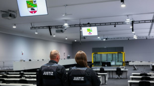 Lebenslange Haftstrafe in Prozess um Anschlag auf Magdeburger Weihnachtsmarkt 
