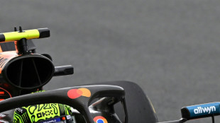 Norris vor Piastri - Alonso stark