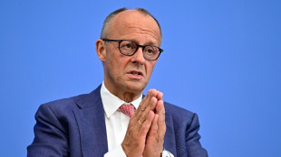 Merz se dit "confiant" de pouvoir emp&ecirc;cher l'extr&ecirc;me droite d'acc&eacute;der au pouvoir dans l'Est de l'Allemagne