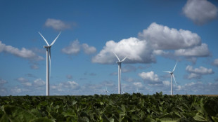 Reaktion auf Klimawandel: Anbaufl&auml;che von Soja stark gestiegen