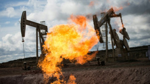 Br&uuml;ssel schl&auml;gt Lockerungen f&uuml;r EU-Regeln f&uuml;r Gas- und &Ouml;limporte vor
