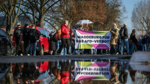Bundesweite Kundgebungen f&uuml;r AfD-Verbot geplant