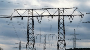 Netznutzungsentgelte f&uuml;r Strom steigen 2024 weiter