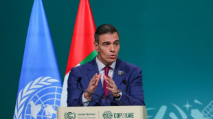 Espa&ntilde;a se une en la COP28 a una alianza para abandonar inversiones en energ&iacute;as f&oacute;siles