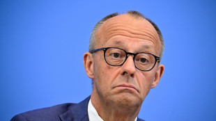 Merz will AfD-Erfolge bei Landtagswahlen durch Reformpolitik verhindern