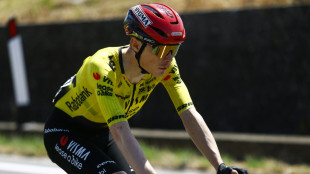 Vingegaard gewinnt erste Giro-Bergankunft und halbiert R&uuml;ckstand