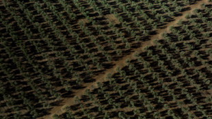 La producci&oacute;n industrial en Espa&ntilde;a se recuper&oacute; en noviembre